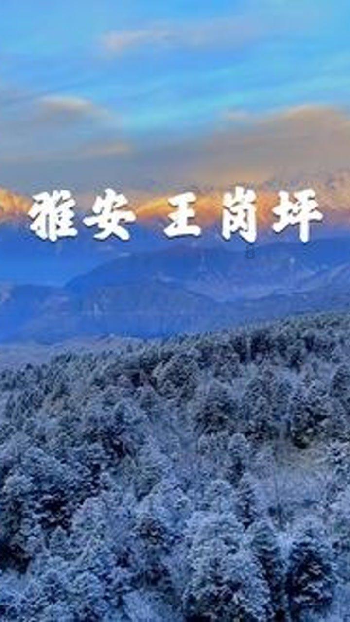 一公司从哈尔滨运3车雪到广州,花费超20万元!最新进展